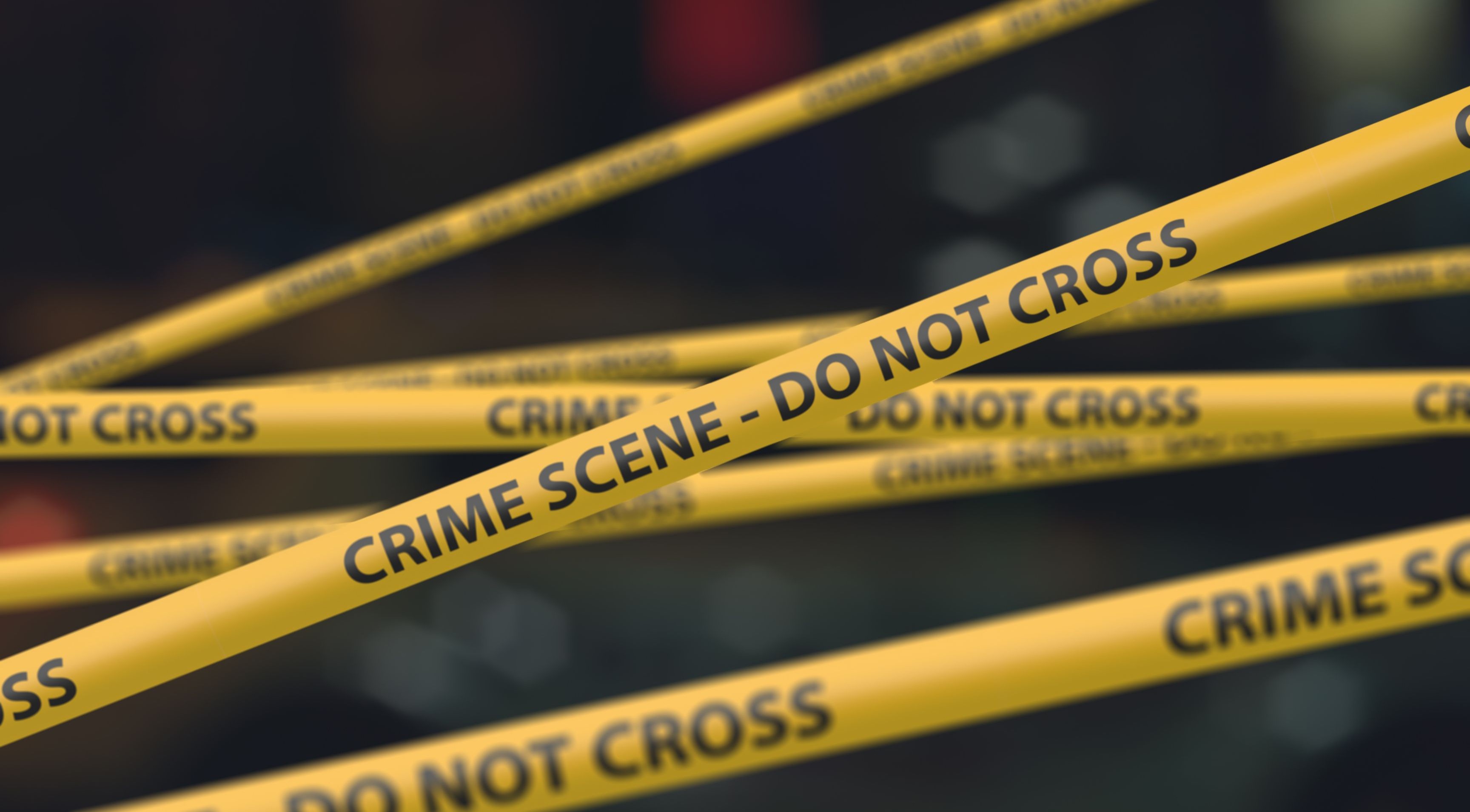 Fall 2 – Coming Soon